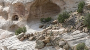 PICTURES/Canyon de Chelly - North Rim Day 2/t_Yucca Ruin3.JPG